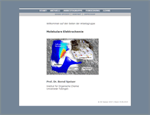 Tablet Screenshot of echem.uni-tuebingen.de